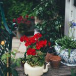 annie-spratt-7qotv-1XF2A-unsplash