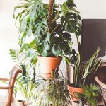 brina-blum-7gUdXVJEnOo-unsplash