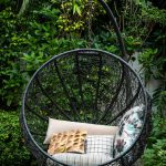 pexels-subham-majumder-1992868-3614085 (1)
