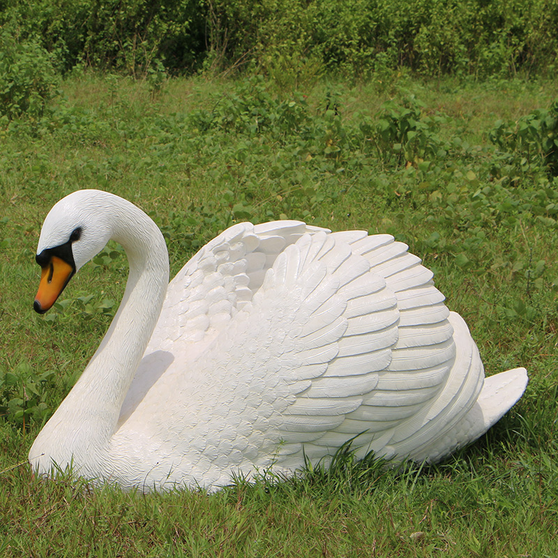 swann