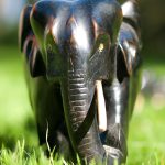 william-warby-PgUlOVLpfWk-unsplash