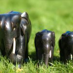 william-warby-djNPVrFKR54-unsplash